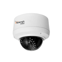 3MP Vandal Dome Camera - Silver Series CCTV IP Camera